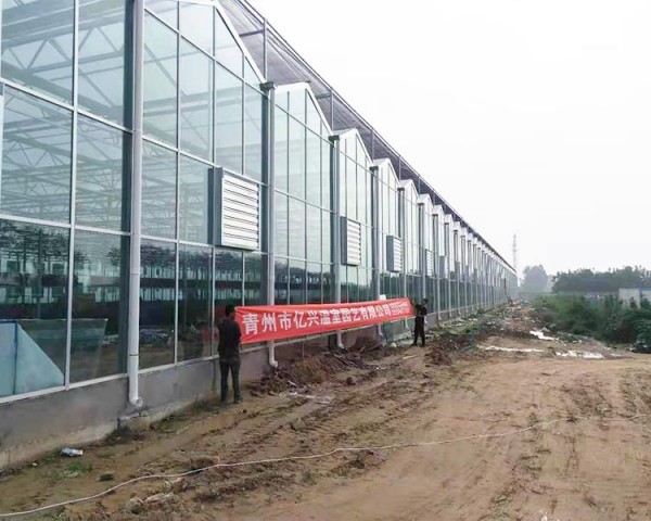 青島萊西案例工程