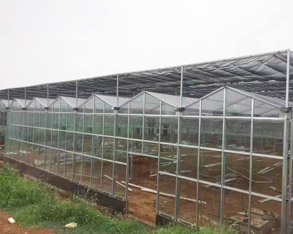 玻璃溫室