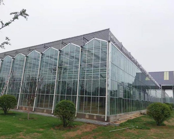 玻璃溫室